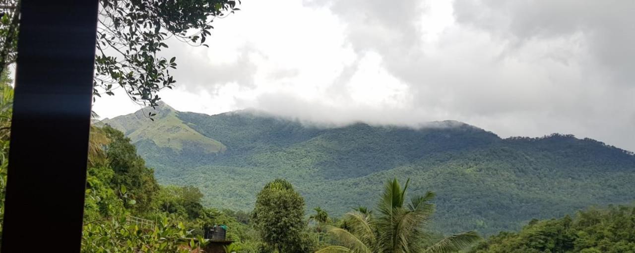 Wayanad Doubletree Villaビサーリー エクステリア 写真