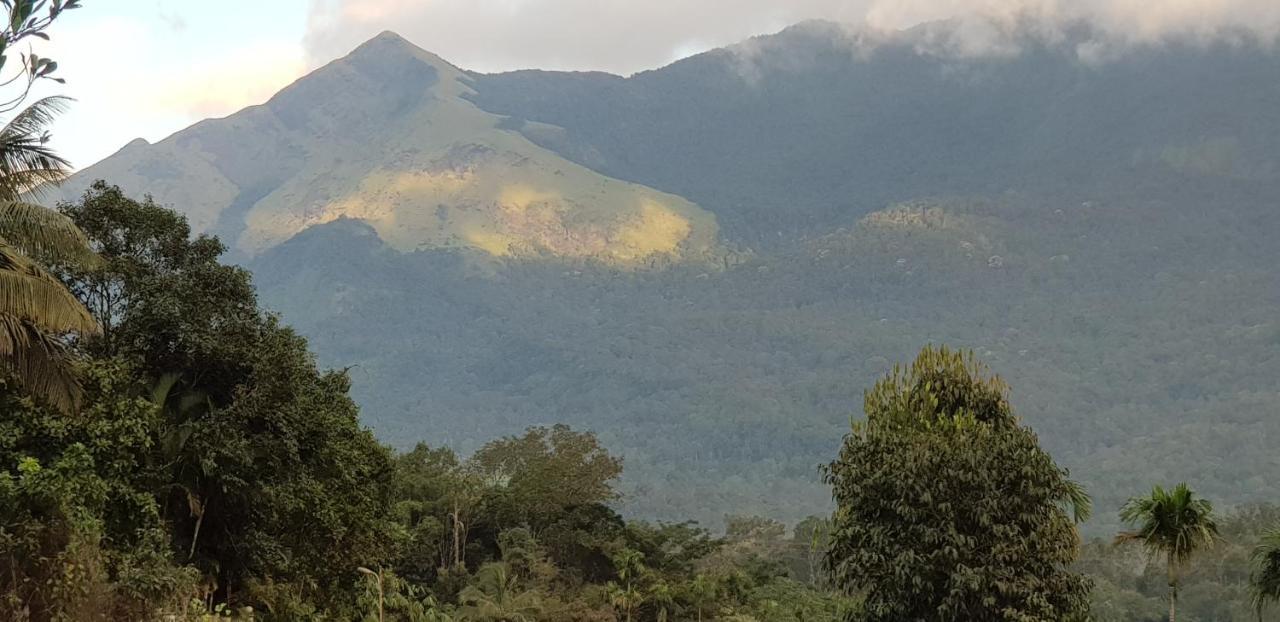 Wayanad Doubletree Villaビサーリー エクステリア 写真