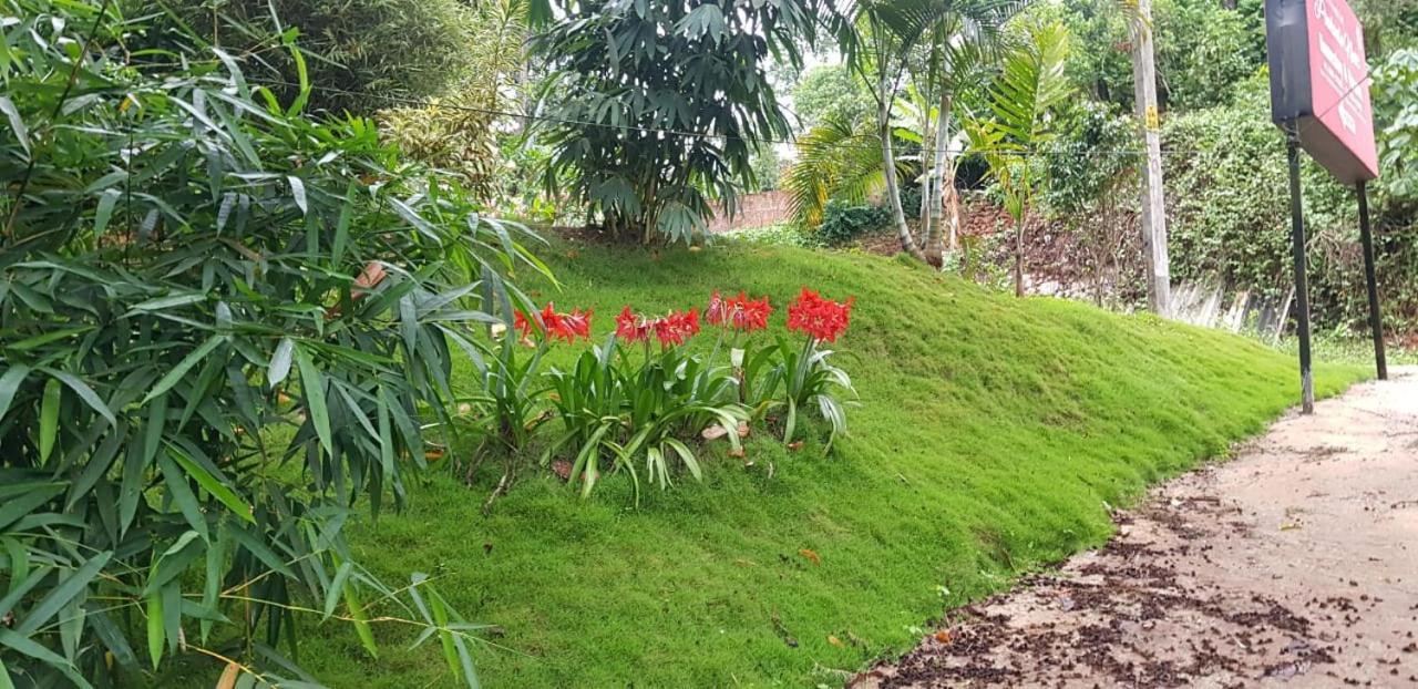Wayanad Doubletree Villaビサーリー エクステリア 写真
