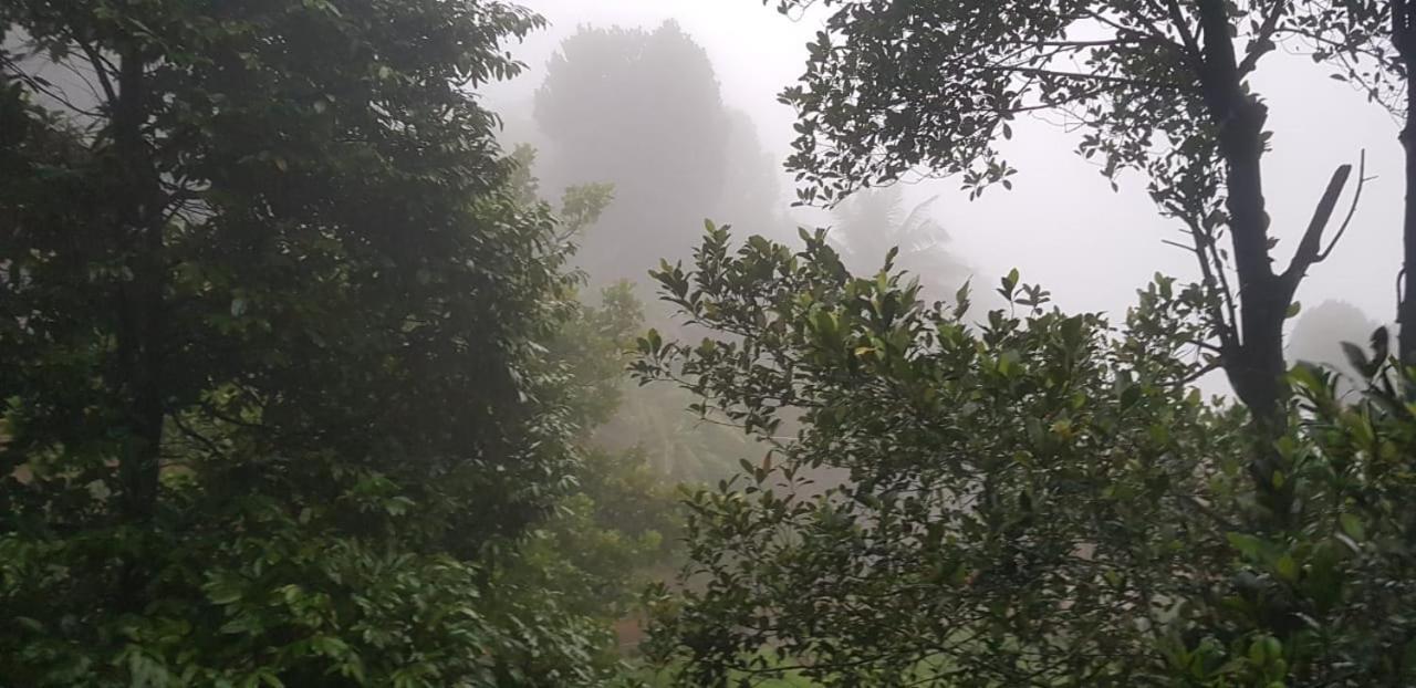 Wayanad Doubletree Villaビサーリー エクステリア 写真