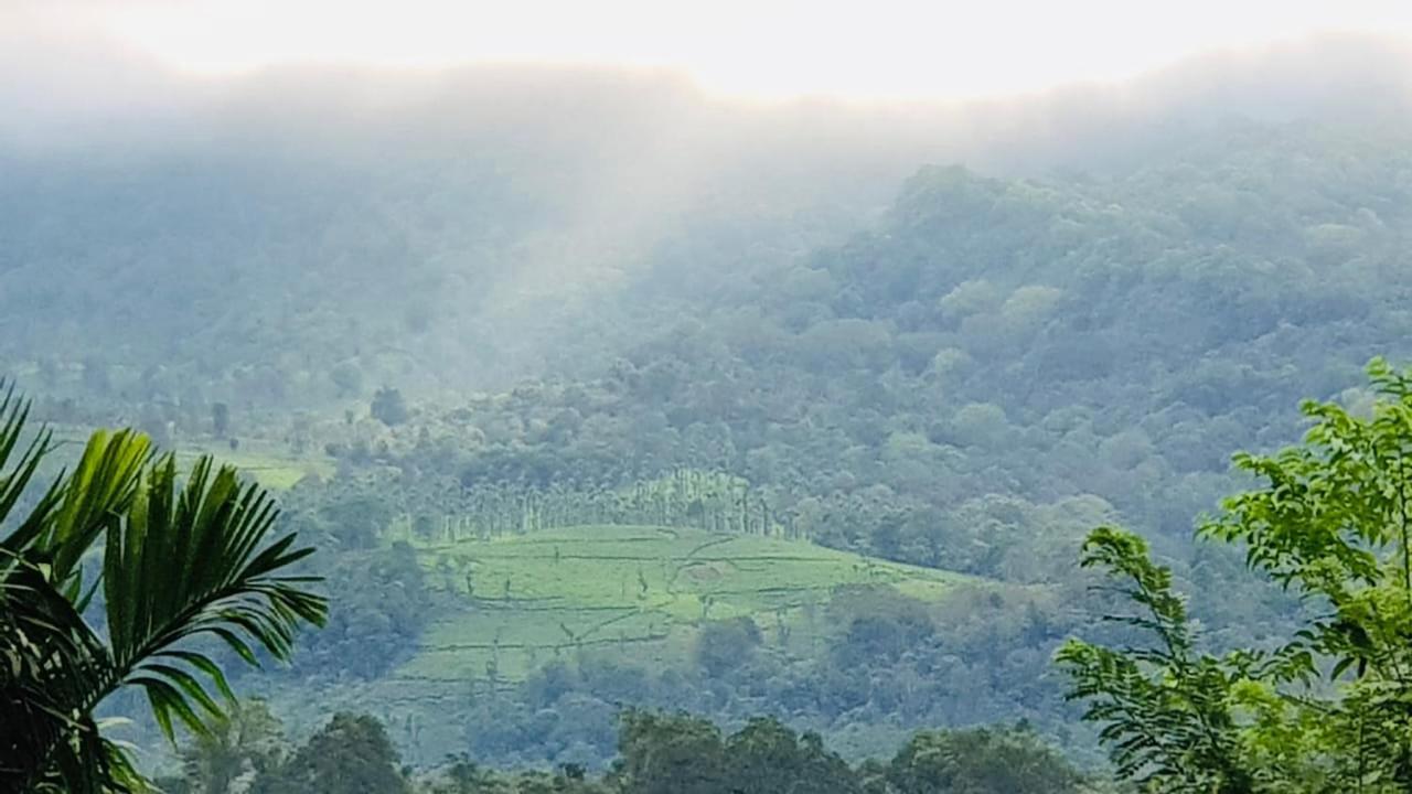 Wayanad Doubletree Villaビサーリー エクステリア 写真