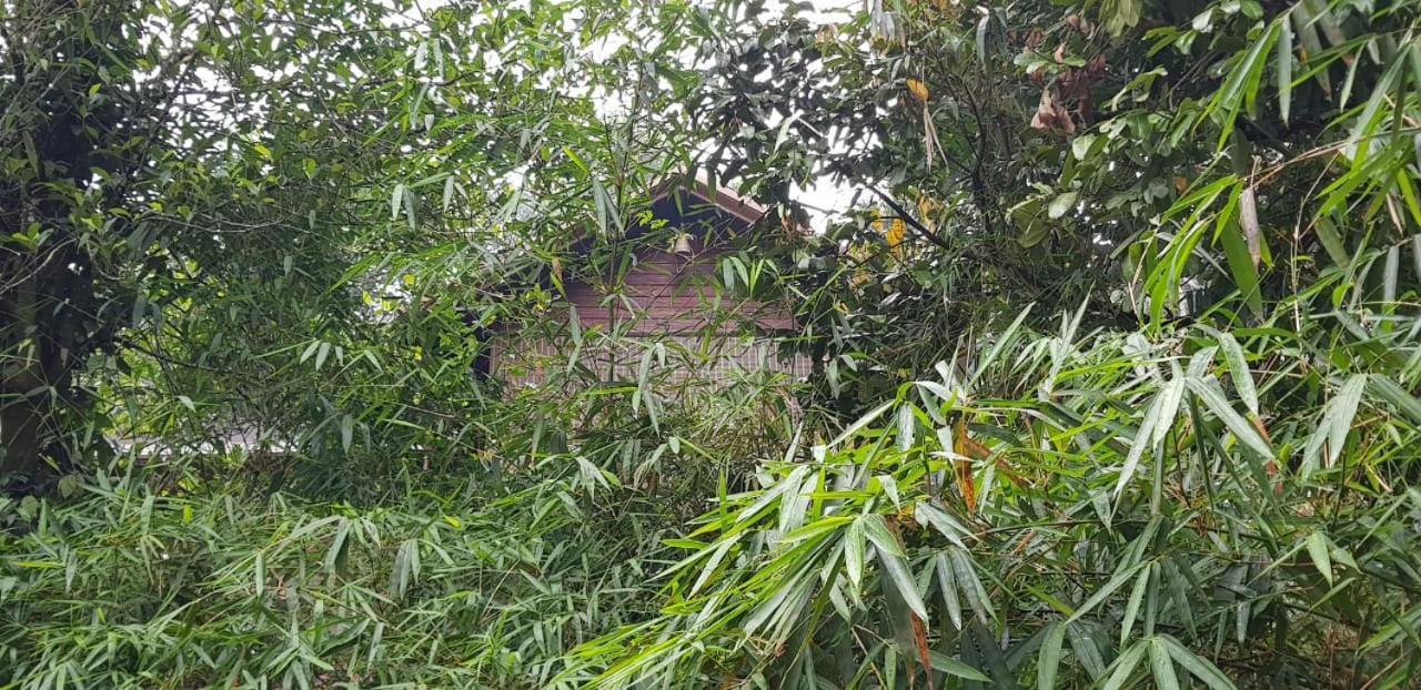Wayanad Doubletree Villaビサーリー エクステリア 写真