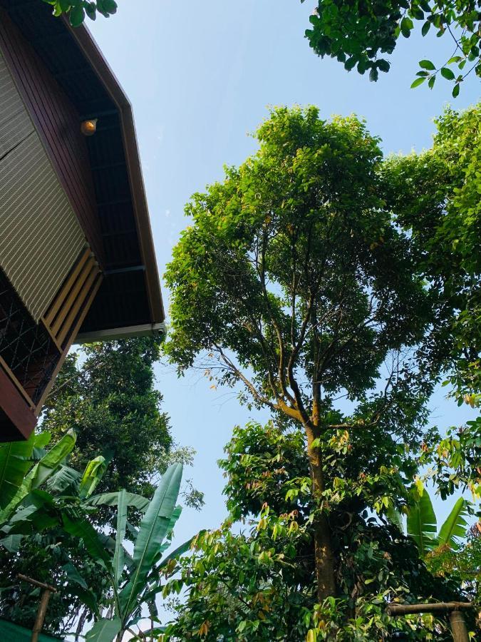 Wayanad Doubletree Villaビサーリー エクステリア 写真