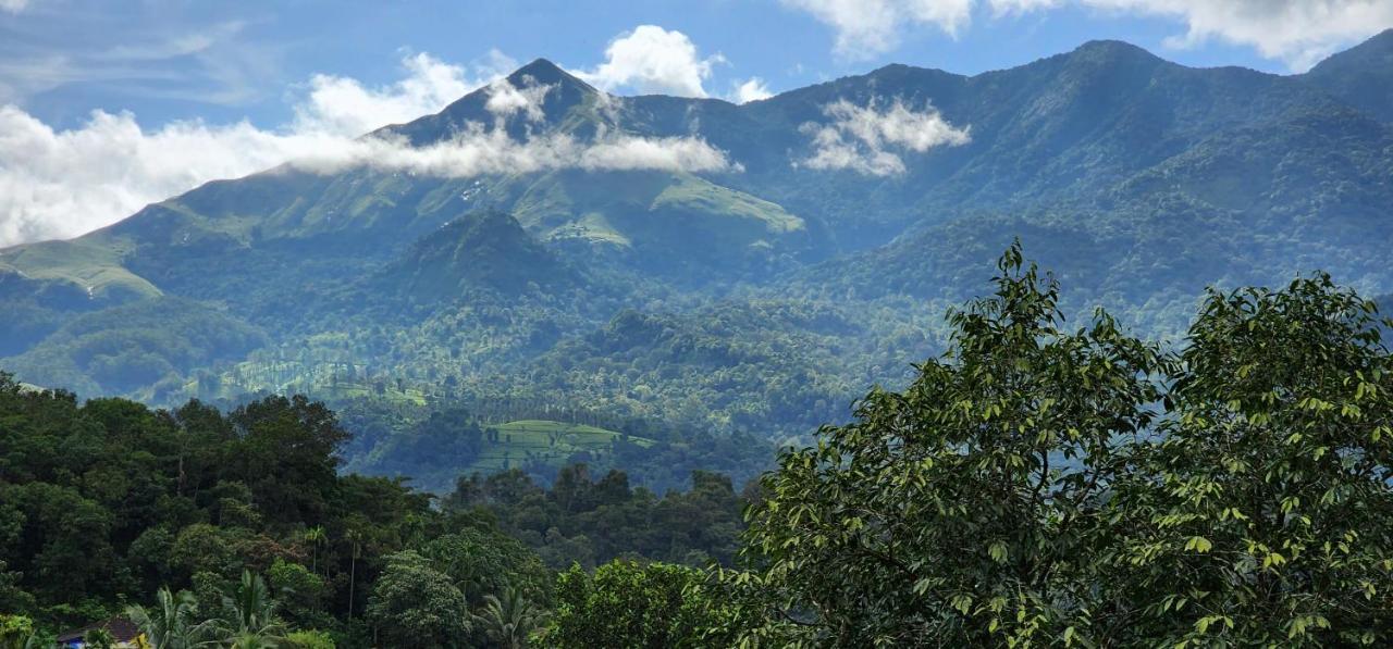Wayanad Doubletree Villaビサーリー エクステリア 写真