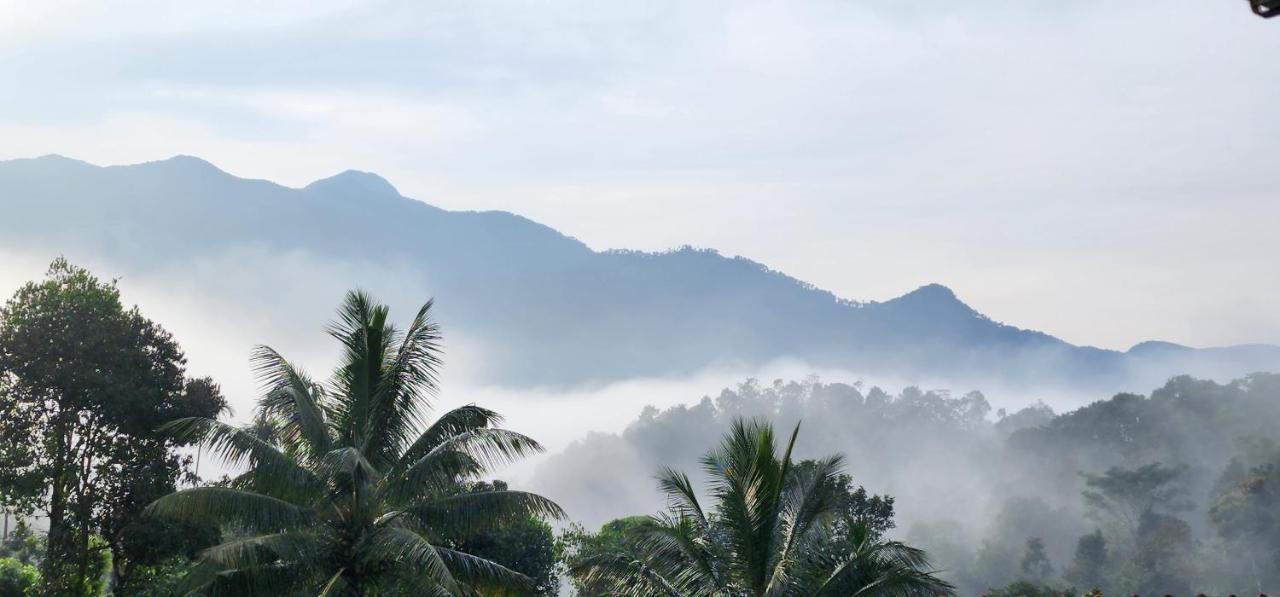 Wayanad Doubletree Villaビサーリー エクステリア 写真